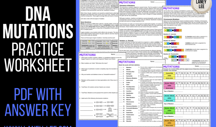 Dna mutations worksheet answer key